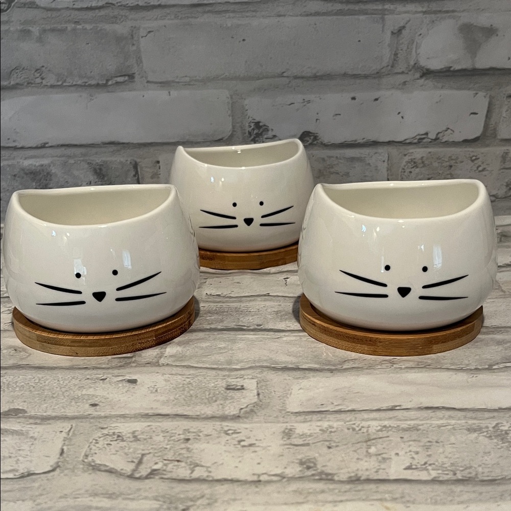 Koolkatkoo Cat Face Ceramic Planters with Bamboo Base set of 3